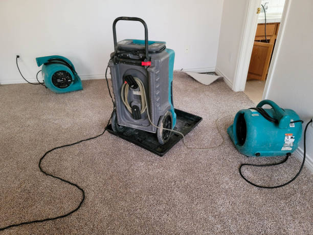 Best Water damage cleanup near me  in East Port Orchard, WA