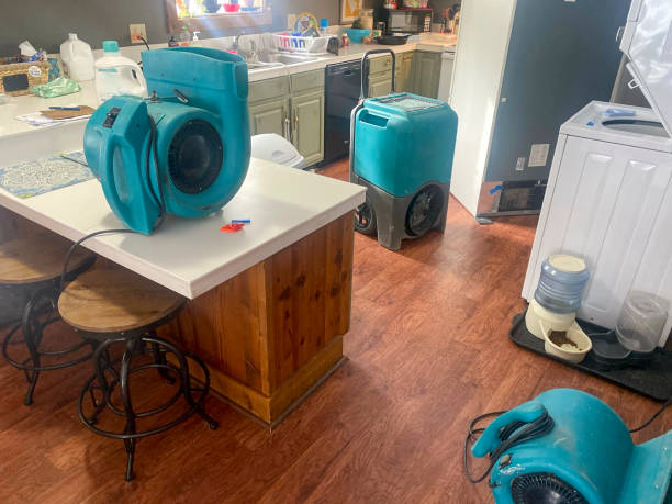 Best 24-hour water damage restoration  in East Port Orchard, WA