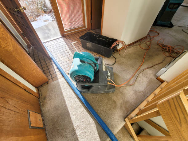 Best Water damage contractors near me  in East Port Orchard, WA