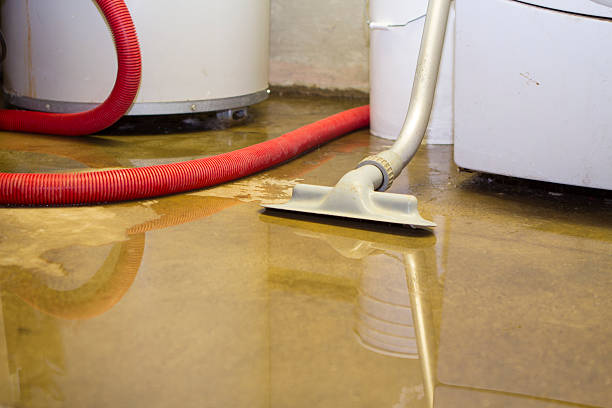 Best Fire Damage Restoration  in East Port Orchard, WA